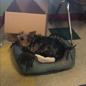 Meet your Posher, Ciara